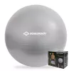 SCHILDKROT Gym Ball 65 cm Silver Anti-Burst 960156