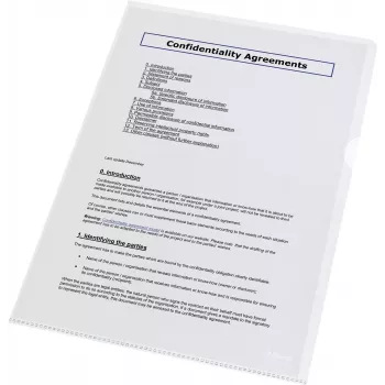 LEITZ Esselte Standard Plus Punched Pocket A4, 100 Pack, Transparent, Polypropylene 56218