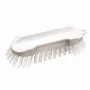 HAUG BÜRSTEN 8830 Cleaning Brush, White/Transparent, Polypropylene Body, Polyester Bristles, Medium Hardness, Autoclavable, Food Contact Approved