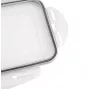 APS Ice Cube Box with Lid, Transparent/Grey, Set of 2, Polypropylene, Dishwasher Safe 36103