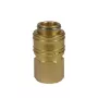 Einhell Quick Coupling, R1/4 Female Thread Compressor Accessory (4139206)