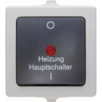 Kopp 565356002 Thermoplastic Black-Grey 2-Way Switch, Flush-Mounted, 10 A, 250 V AC