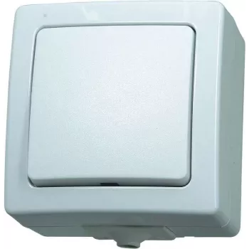 HEINRICH KOPP Paris Polar White Flush-Mounted 10A 250V AC One-Way/Two-Way Light Switch with Illumination Option 565702005