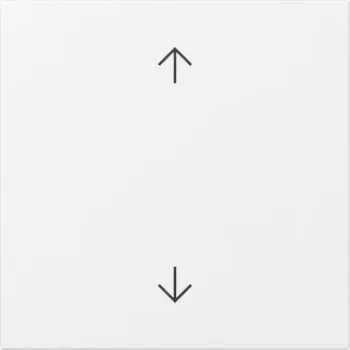 GIRA Rocker with Arrows, System 55, Pure White Glossy 361603