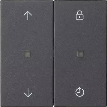 Gira Radio Control Attachment with Memory Function and Arrow Buttons, Anthracite 549228