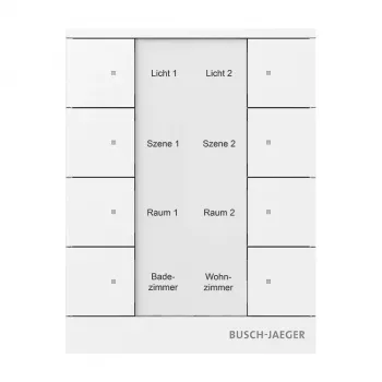 Busch-Jaeger free@home Control Element, Alpine White, 2-Gang 2CKA006220A0886