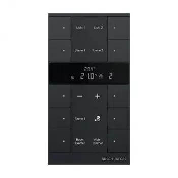 Busch-Jaeger Room Temperature Controller 10-fold, Matte Black SBR-F-10.0.11-885 (2CKA006220A0901)