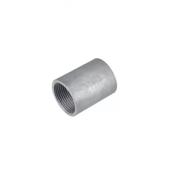 FRAENKISCHE SM-E-V 20 Steel Threaded Coupling M20 for FFS-ES/FFSK-ES-UV Conduit, Galvanized 20450020