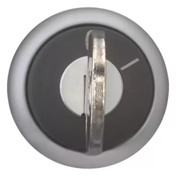 Eaton M22-WRS-A1 Key-Operated Selector Switch, 2-Position, Maintained, Black Actuator, Silver Titanium Front Ring, 22.5 mm Mounting, IP66/IP67/IP69K 229092