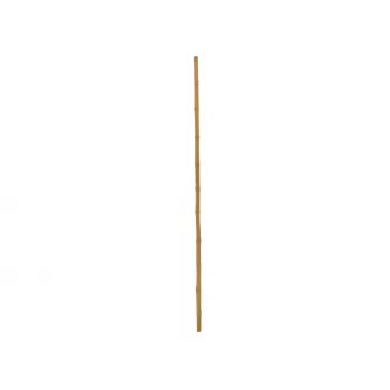 EUROPALMS Bamboo Pole, Ø 3 cm, Length 200 cm 83313200