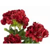 EUROPALMS Artificial Geranium, Dark Red, 42cm 82600112