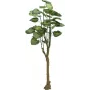 EUROPALMS Pothos Tree Artificial Plant 175cm 82600163