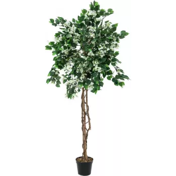 EUROPALMS Bougainvillea Artificial Plant, White, 150cm 82507085