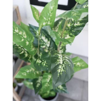 EUROPALMS Dieffenbachia Artificial Plant 120cm 82508306