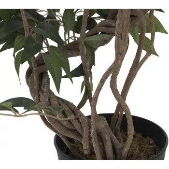 EUROPALMS Ficus Multi Spiral Trunk Artificial Plant, 130cm 82806314