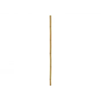 EUROPALMS Bamboo Pole, Ø 5 cm, 200 cm 83313201