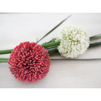 EUROPALMS Artificial Allium Stem, Red, 55cm 82530568
