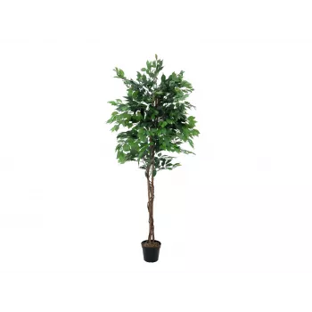 EUROPALMS Ficus Benjamina Multi-Stem Artificial Plant, 210cm 82506127