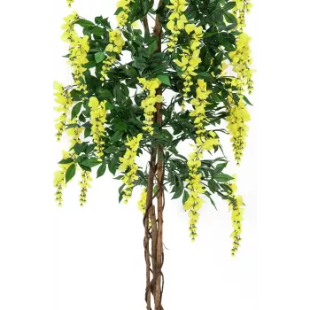 EUROPALMS Golden Rain Tree Artificial Plant, Yellow, 150cm 82507115