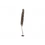 EUROPALMS Cacho Coco Artificial Coconut Palm Tree, 120-190 cm, Real Wood Trunk, 12 Fronds, Indoor 83502349