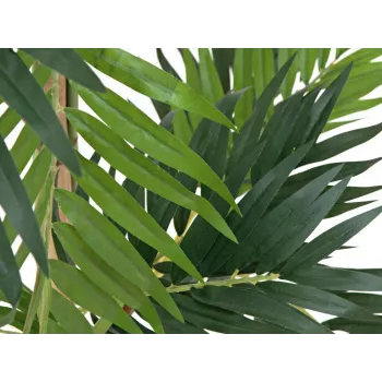 EUROPALMS Parlour Palm Artificial Plant, 150cm 82509495