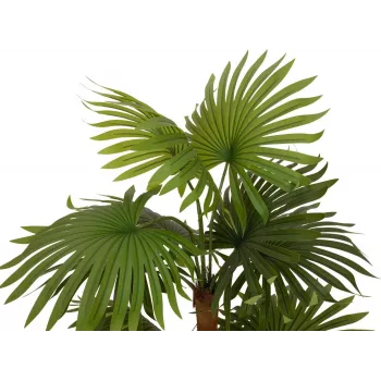 EUROPALMS Fan Palm Artificial Plant 130cm 82509302