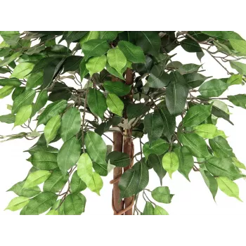 EUROPALMS Ficus Benjamina Multi-Stem Artificial Plant, 150cm 82506125