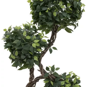 EUROPALMS Ficus Multi Spiral Trunk Artificial Plant, 160cm 82501563