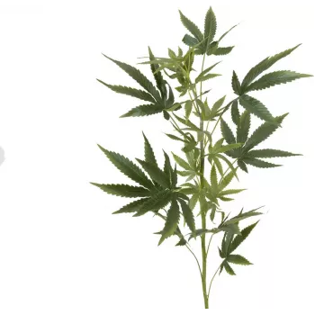 EUROPALMS Artificial Hemp Branch, 90cm, Green 82506699