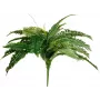 EUROPALMS Boston Fern Artificial Plant, 53cm, Green 82519934