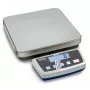 KERN DE 6K1D Precision Platform Scale, 6 kg Capacity, 1 g/2 g Readability, Battery or Mains Powered