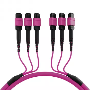 EFB Elektronik MTP-F/MTP-F 48-Fiber Matrix Patch Cable OM4, LSZH Erika Violet, Code A, 25m MTPF48MTPFOM4-25-A