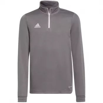 adidas Entrada 22 Training Top Kids Sweatshirt Grey 152 cm H57549