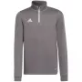 adidas Entrada 22 Training Top Kids Sweatshirt Grey 152 cm H57549
