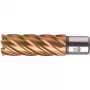 BDS HSSVarioPLUS Core Drill Bit 18 mm Cutting Depth 55 mm Weldon Shank (KBL-VP018)