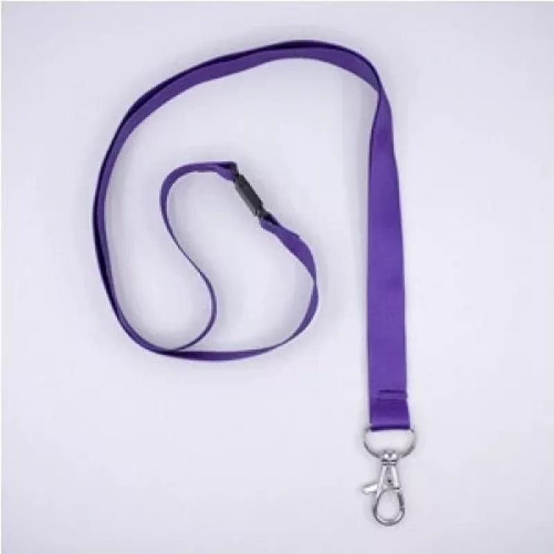 Avery 4842P Metal Clip Name Badge Holder, PET, Clear, 54 x 90 mm, 10 Pack