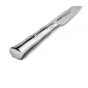 SAMURA Damascus Steak Knife 110 mm VG-10 67 Layers G-10 Handle