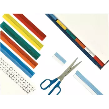 LEITZ Esselte Full-View Index Tabs, Transparent Coloured Film, 200 mm Strip Width, Assorted (Orange, Yellow), 25 Pieces (55002)