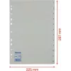 LEITZ Esselte Plastic Index Dividers, Numbered 1-12, A4, White, Universal Punching, 10 Sets (100153)