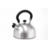 IBILI Stainless Steel Teapot 1.5 L with Infuser, Polished Silver, Induction Compatible