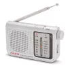 AIWA RS-55/SL Portable Analog AM/FM Pocket Radio, Gray