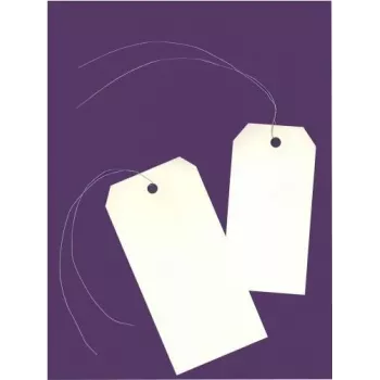Avery 75-410 Luggage Tag, 120 x 60 mm, Neutral, with Beige Wire, Cardboard 160 gsm, 1 Piece