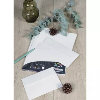 Pollen by Clairefontaine DL Envelope, Natural 100% Recycled Paper, 120 gsm, 110 x 220 mm, 1 Piece (55012C)