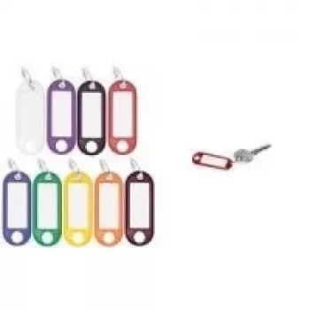 WEDO Keychain with Ring, Diameter 18 mm, Violet Plastic Body, White Writable Replaceable Label 262 801808