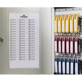 DURABLE KEY BOX 54 Key Cabinet with Cylinder Lock, Light Grey, Steel, Wall-Mountable 195323