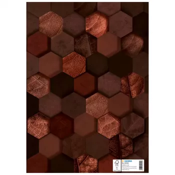 HERMA Heftschoner X, Cardboard, DIN A4, Brown, with Labeling Field, 10 Pieces (20092)