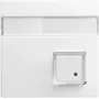 Busch-Jaeger Central Plate Alpine White for UAE/TAE Inserts 1582-0-0397