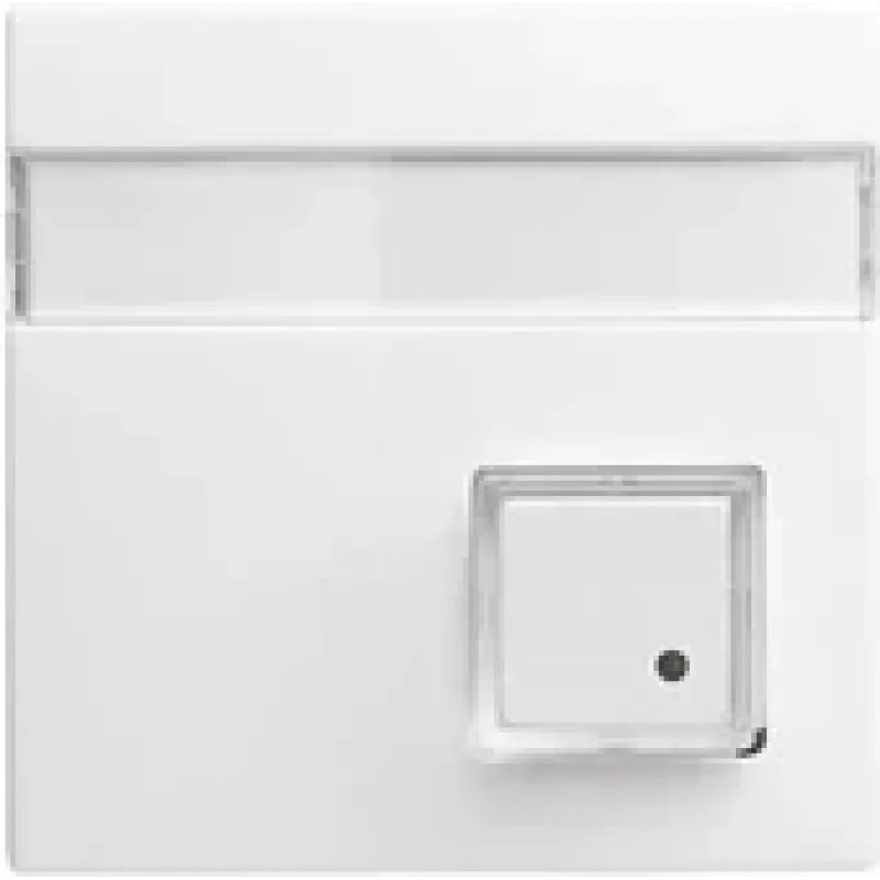 Busch-Jaeger Central Plate Alpine White for UAE/TAE Inserts 1582-0-0397