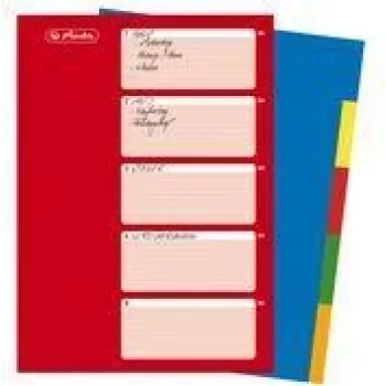 HERLITZ A4 Plastic Index Dividers, 10-Tab, Blank, Assorted Colours, PP 0.12 mm, Multi-Punched, with Index Sheet (10715415)
