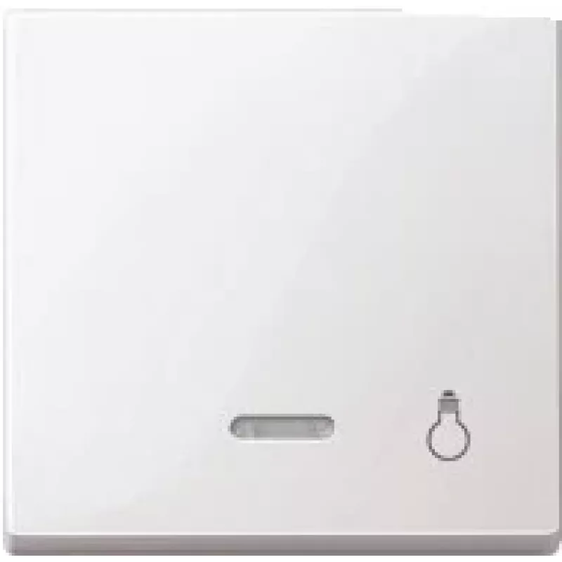 Merten 430919 Light Switch White